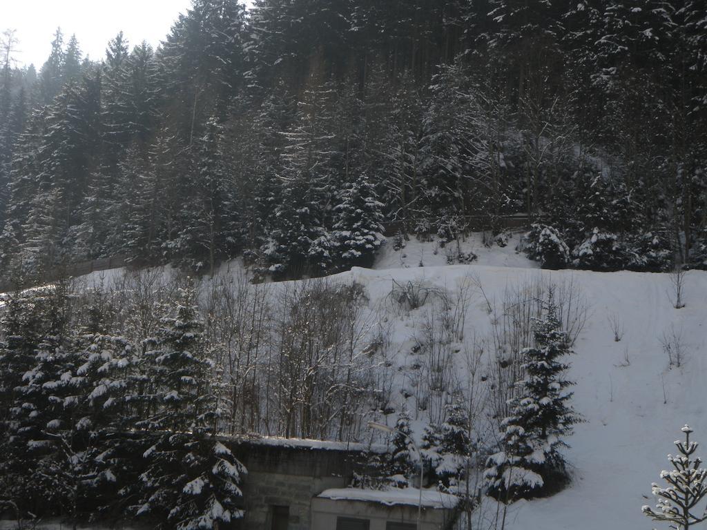Appartement Schlosser Zell am See Exterior photo